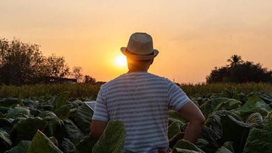 Digital Economy Skills in Ghana