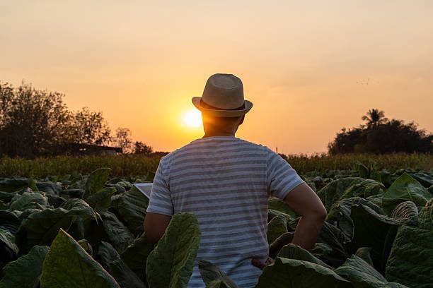 Digital Economy Skills in Ghana