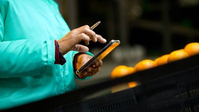 Easiest Jobs to Get in Ghana