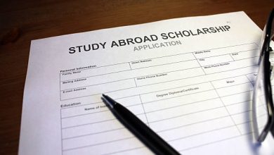 Scholarship CV Writing Guide